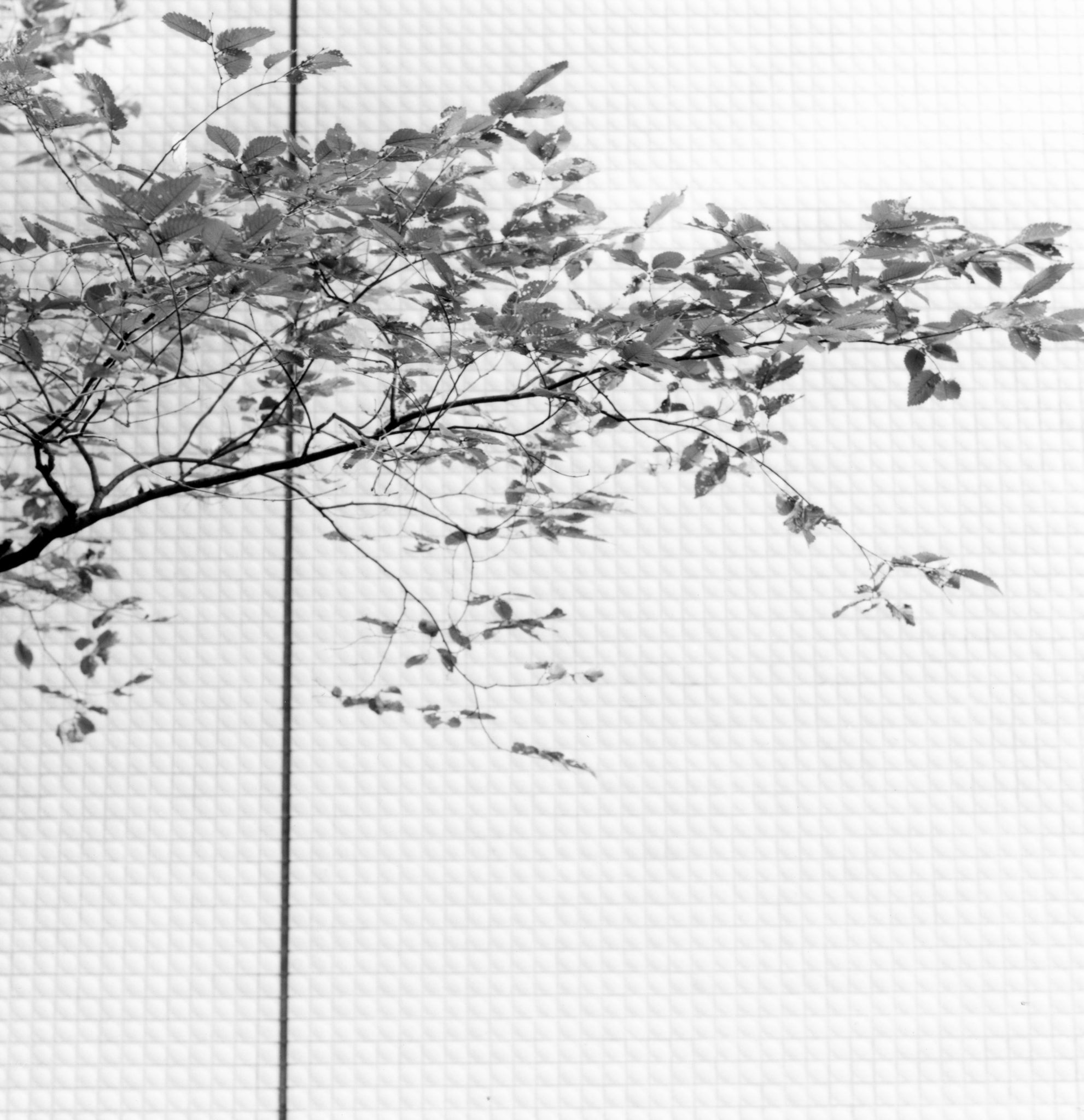 Japan-1-Nr-08 Nishidai