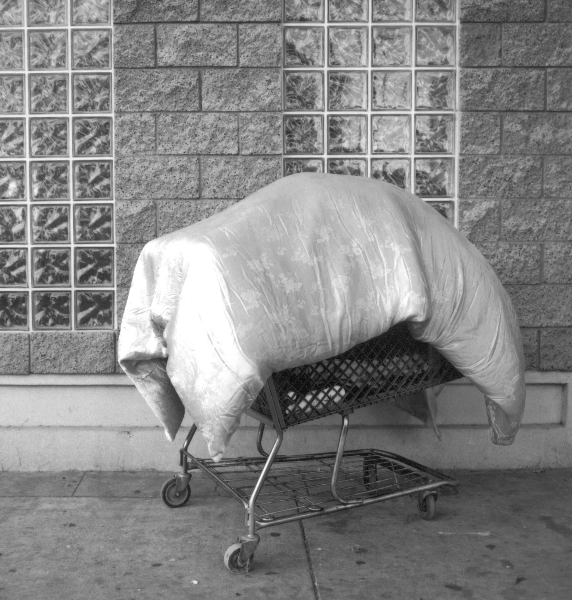 Los-Angeles-07-ITEM-NR-10012