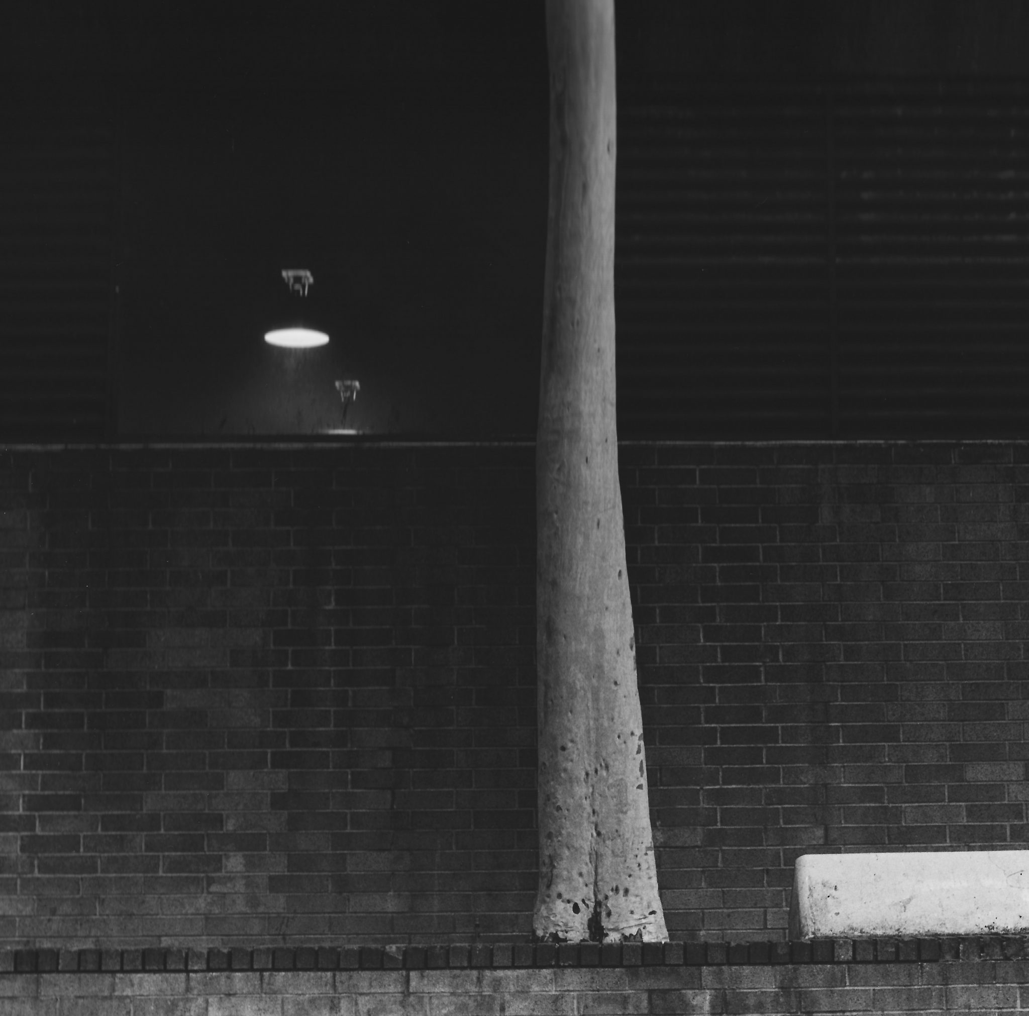 Los-Angeles-11-ITEM-NR-10024