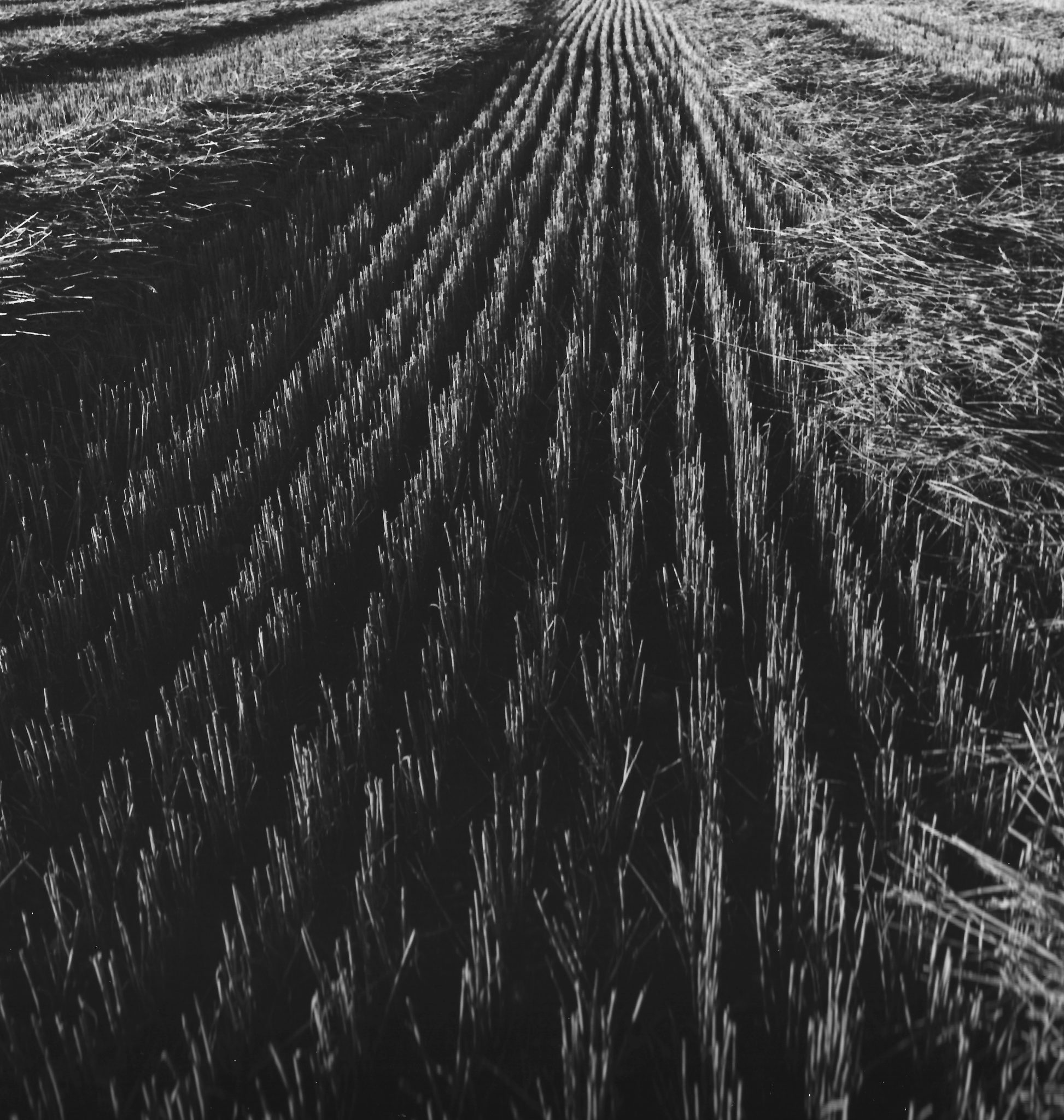 Sammlung-1-Nr-8-Feld-I