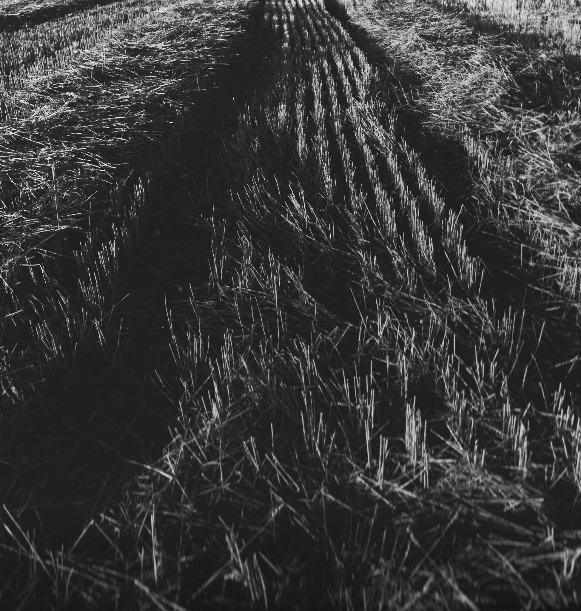 Sammlung-1-Nr-9-Feld-II