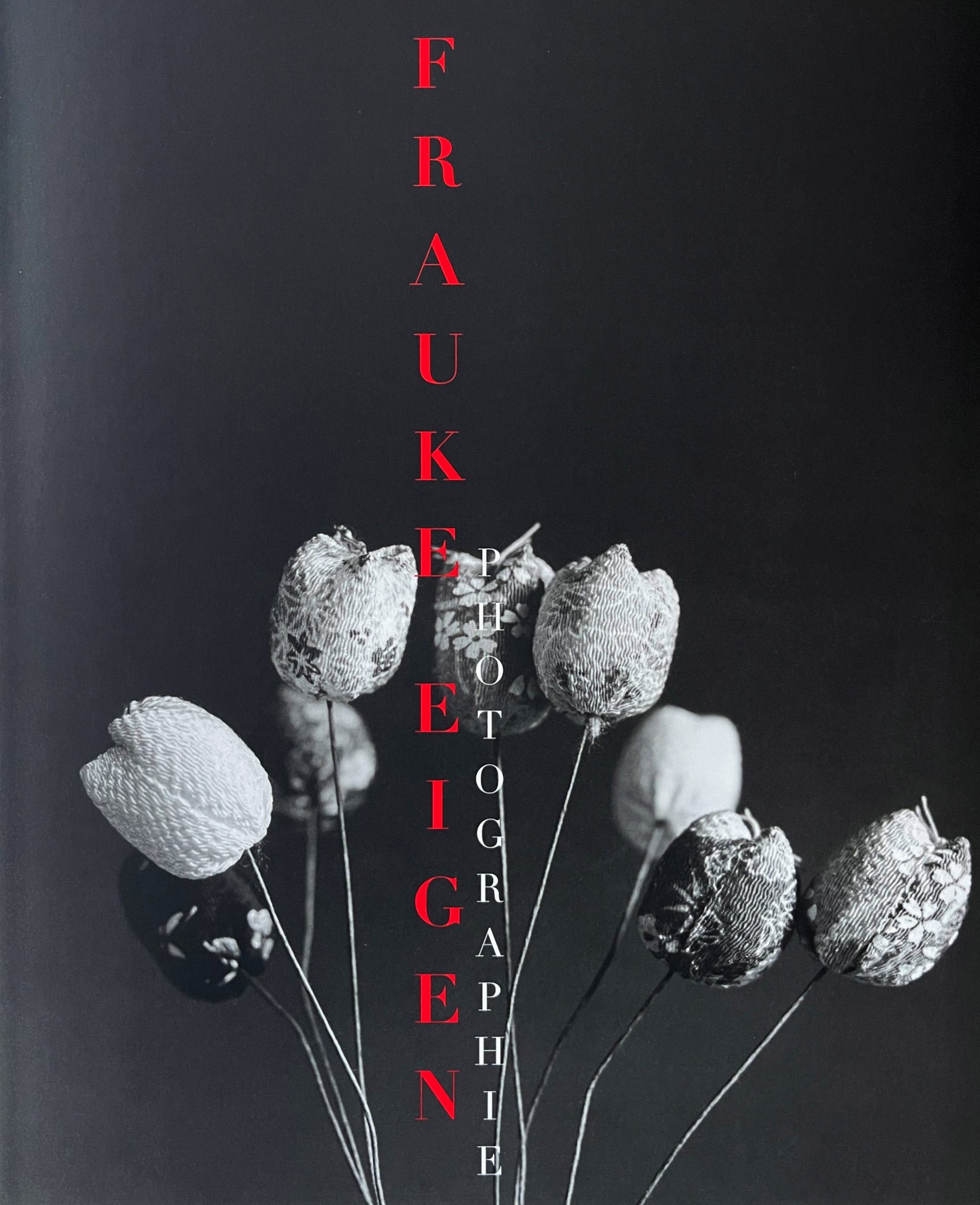 Katalog Langen Foundation