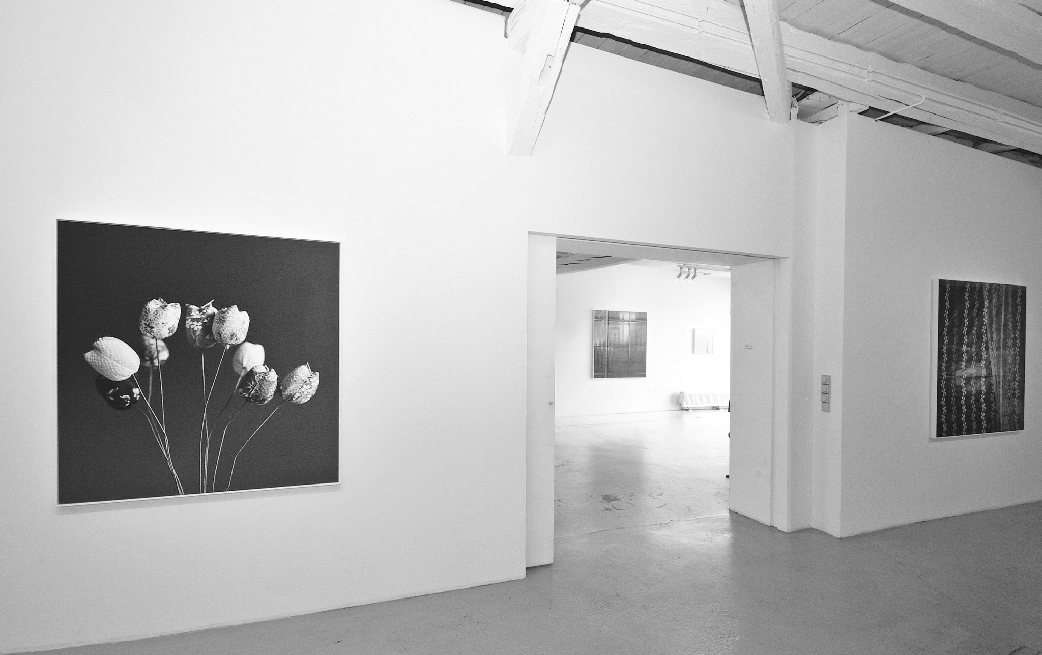 Mönchehaus Museum 2009 03